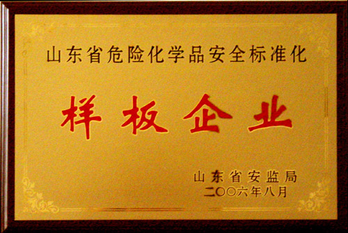 山東省危險化學(xué)品安全標(biāo)準化樣板企業(yè)